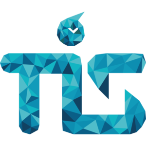 TIS - Technological and Intelligent Systems Ltd